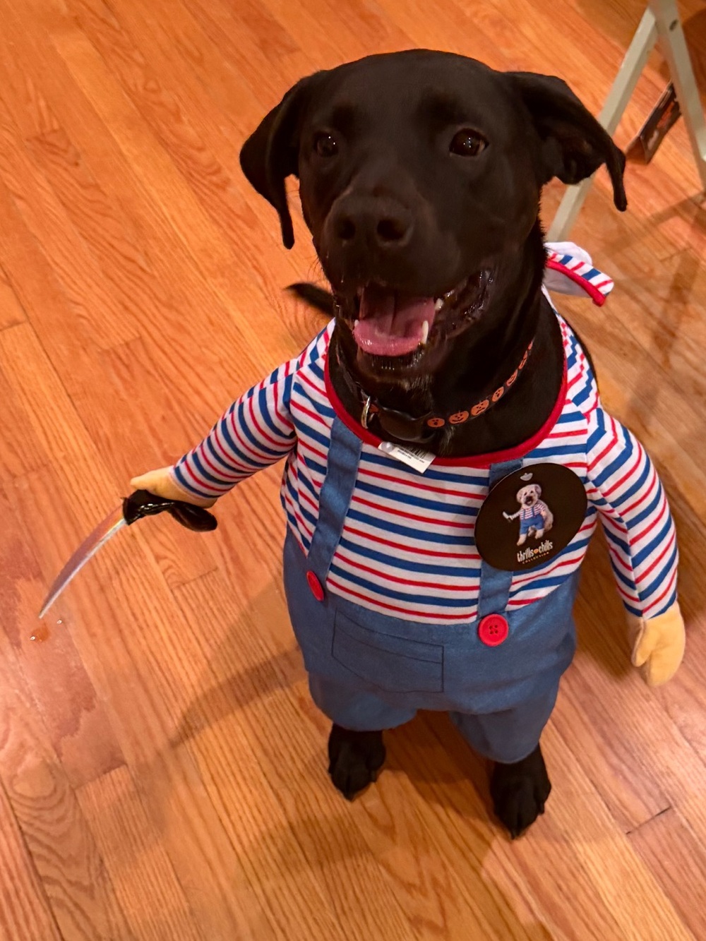 Thrills and Chills "Chuckie" with knife Blue & Red Striped Dog Costume Overalls